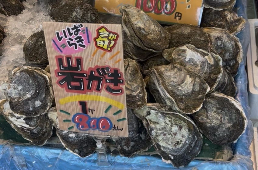福島県 小浜名魚市場で食べられる生牡蠣